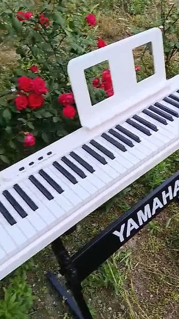 mp3 yüklə: Piano, Rəqəmsal, Yeni, Pulsuz çatdırılma — 9