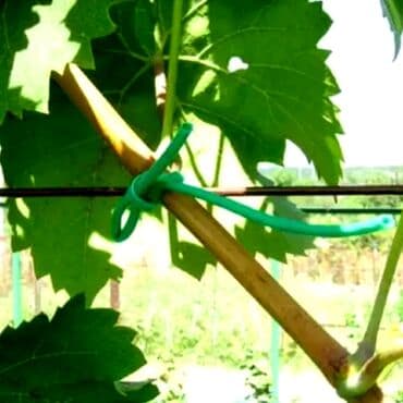 bıçaq şəkilləri: Yeni Bağ qayçısı, Rayonlara çatdırılma, Ödənişli çatdırılma, Ünvandan götürmə — 7