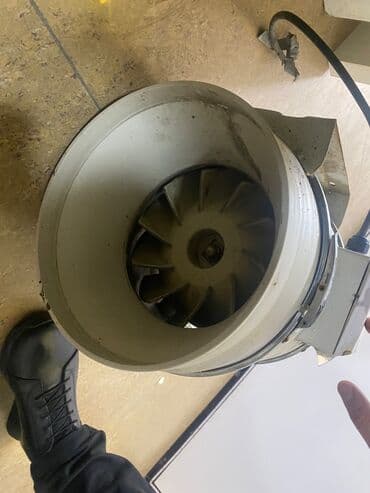 rowenta fen qiymeti: Fen Braun — 6