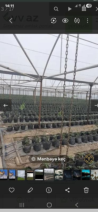 qedimi samovar qiymetleri: Sənaye tipli istixana kompleksi - Bir neçə ədəd böyükölçülü, tağlı — 7
