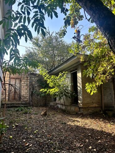 kiraye ev azadliq metrosu: 13 sot İşıq — 9