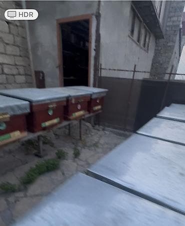 arı lapedi: Arıçılıq üçün taxta arı yeşikləri (pətəklər). İçində 6 ay arı — 3