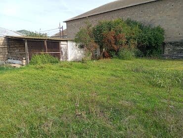 бина аз недвижимость: Tikinti — 2