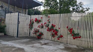 ucuz kiraye evlər: 70 kv. m, 2 otaqlı — 9