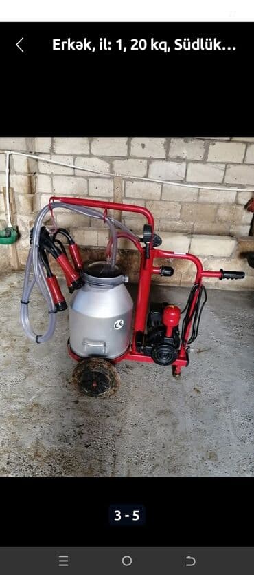 bit bire dermani: Tək bidon — 2