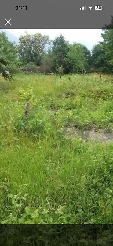 torpağ sahesi: Kupça (Çıxarış) — 1