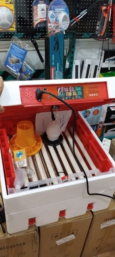 qirqovul satilir: Inkubator inkubatorlarin birinci əl satişi mağazamizda olan inkubator — 1