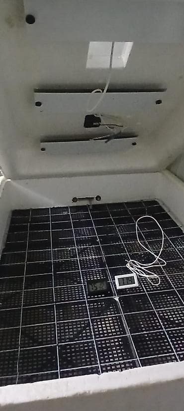 inqibatorlar: Ev quşlarının yumurtadan çıxarılması üçün inkubator - Material: qalın — 2