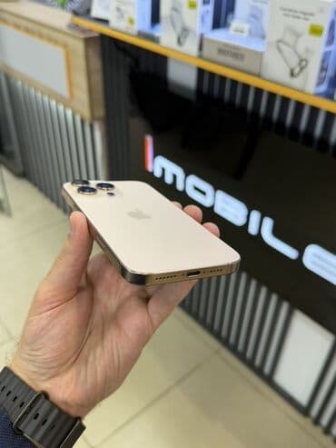 Техника для кухни: IPhone 16 Pro Max, 256 ГБ, Desert Titanium — 4