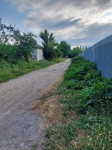 64 sot, Kənd təsərrüfatı, Mülkiyyətçi, Kupça (Çıxarış) — 1