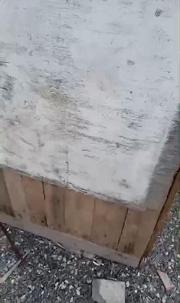 karlik dovsan satisi: Taxta goyərcin hinı 70 yaxin goyərcin yerləsir - Material: qalın — 3