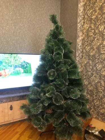 Информатика: Yolka satılır yenidir. Heç bir deffekti yoxdur. 160sm-dir. Dəqiq — 1