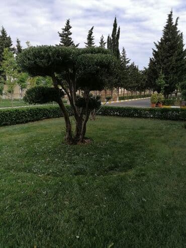 работа уборщицы на неполный рабочий день: Salam aleykum Adim Sahib 44yaşim var Bakıda yaşayiram Baki etrafi — 26