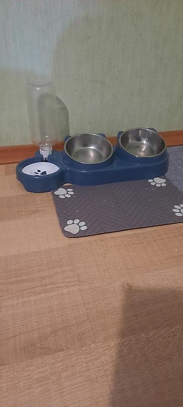 pişik evleri: Ev heyvanları üçün 3-ü 1-də yemləmə dəsti - İki ədəd paslanmayan — 2