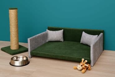 fironun iti: Ev heyvanları üçün divan — 2