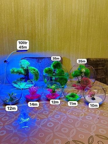 akva ayaqabılar: Yumru akvarium.akvarium.müxtəlif ölçüdə dekoru ilə birlikdə — 1