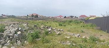 Tikinti — 1