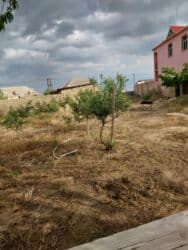 Kommersiya daşınmaz əmlakı: 23 sot, Biznes üçün, Mülkiyyətçi, Müqavilə — 6