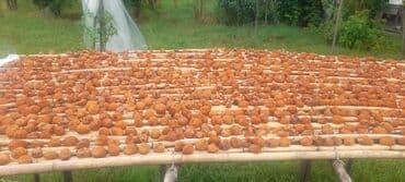 qax meyve qurusu: Albuxarı gavalısı aş vədigər yeməklərdə piylənməmək üçün yedikdə — 2