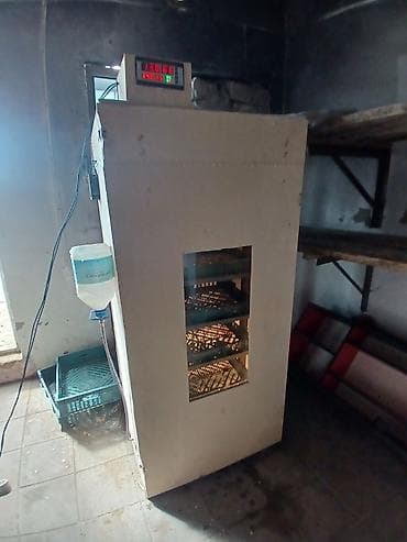 Kənd təssərüfatı avadanlığı: Yumurta inkubatoru – avtomatik idarəetməli, çoxsəviyyəli 520 yumruta — 2