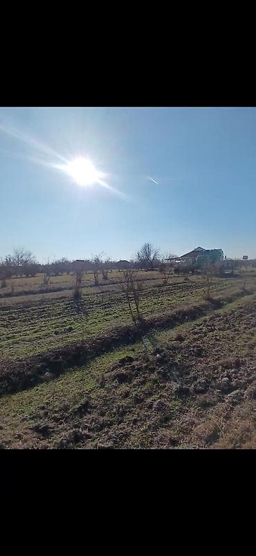 Torpaq sahələrinin satışı: 100 sot, Kənd təsərrüfatı — 2