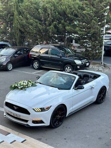 gence lenkeran avtobus: Toy, Nişan və digər tədbirlər üçün sifariş edə bilərsiz. ( Qiymət — 3