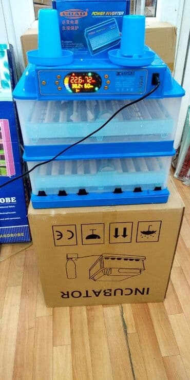 inqibator satiram: Inkubator inkubatorlarin birinci əl satişi mağazamizda olan inkubator — 5