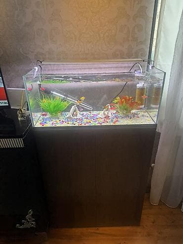 akvarium baliq: Dördbucaq akvarium, Balıqlarla birlikdə, 110 l, Ünvandan götürmə — 1