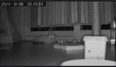 бу морозильная камера купить: Təhlükəsizlik sistemləri | Müşahidə kameraları | Quraşdırılma, Zəmanət — 13