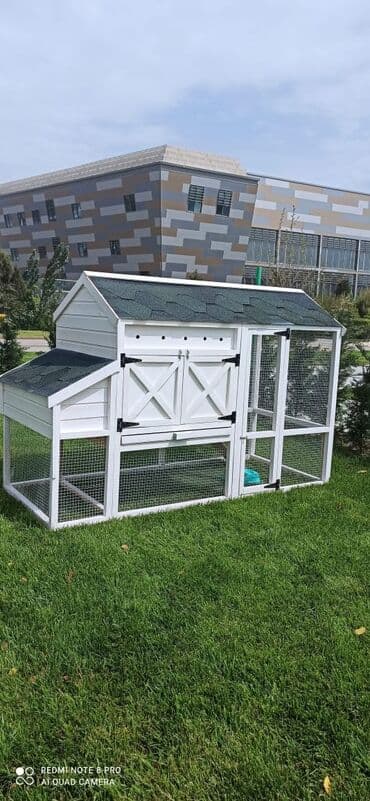 домики для кошек баку: Toyuq yuvası dovşan yuvası
sifariş qəbul olunur — 3