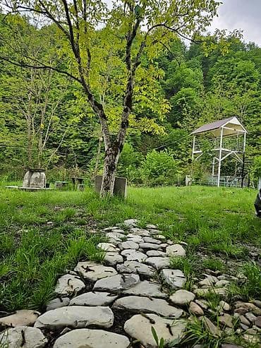 ecemide kiraye: 120 kv. m, 3 otaqlı, Hovuzsuz, İnternet — 1