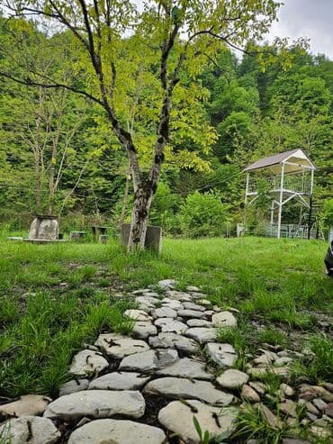 qaxda kirayə evlər 2023: 120 kv. m, 3 otaqlı, İnternet — 1