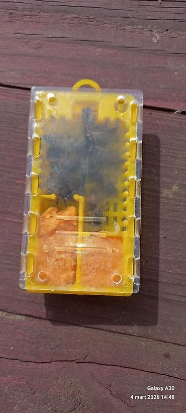 Ana arı 2024cu ilin.Unvan Lənkəran — 3