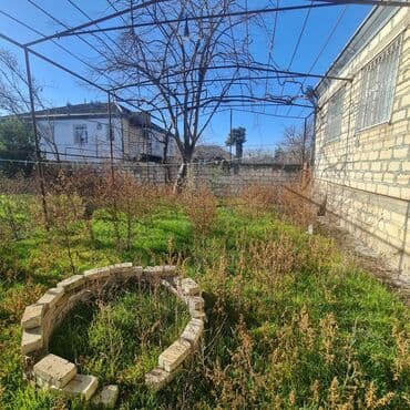 tərtər ev: 18 sot, Tikinti, Barter mümkündür, Kupça (Çıxarış) — 16