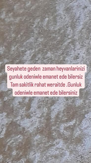 pısık: Pethotel Sumqayitda yawayiram.Rahat wekilde emanet ede bilersiz.Oz — 1