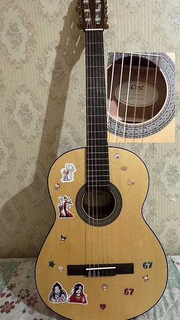 Klassik gitara, Yeni, Pulsuz çatdırılma