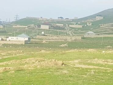 qobu hokmeli: 8 sot, Tikinti, Mülkiyyətçi, Bələdiyyə — 2