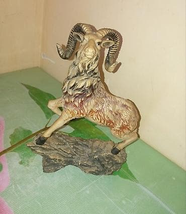 Fiqur