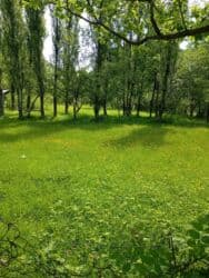 аренда частного дома: 2 otaqlı — 9