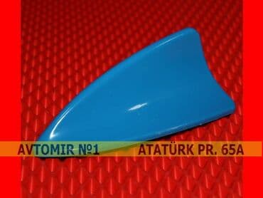 Dekorativ antenna goy 🚙🚒 ünvana və bölgələrə ödənişli çatdırılma