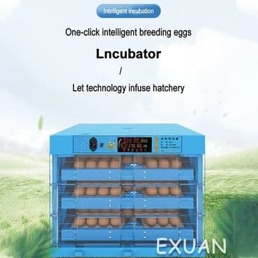 sud şağan aparat: Inkubator inkubatorlarin birinci əl satişi unversal inkubator — 2