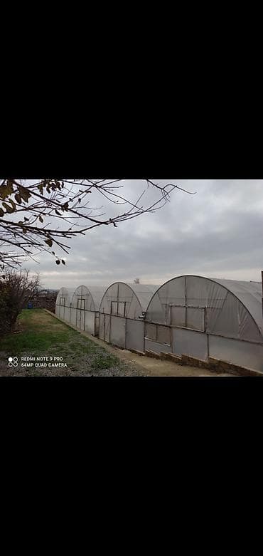 sarayda kiraye ev: 3 otaqlı, 2100 kv. m, Kredit var, Orta təmir — 9