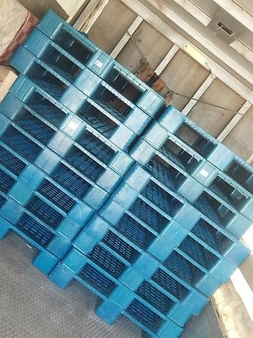 Pallet, 800 х 1200 sm lalafo.az -da Pallet, 800 х 1200 sm