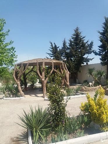 sumqayitda evler: Novxanı, 500 kv. m, 12 otaq, Kombi, Qaz, İşıq — 3