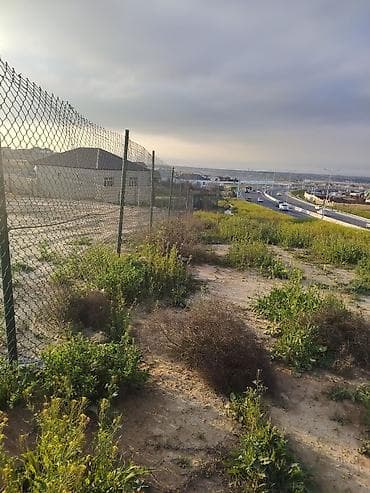 gence weheri: 8 sot, Tikinti, Mülkiyyətçi, Kupça (Çıxarış) — 6