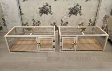 купить клетку для морской свинки: Dovşan,şinşila,bildirçin,cücə,xamyak,pişik,quş ve s kimi ev heyvanlari — 2