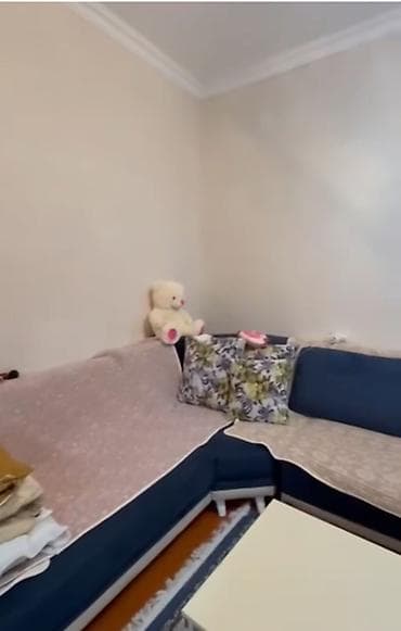 Otaqlar: Lənkəran Böyük Bazar ərazisində yerləşən Şeyx Zahid küçəsində yerləşən — 7