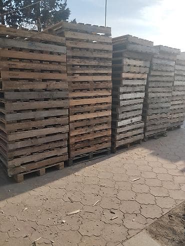 Pallet, 1000 х 1200 sm lalafo.az -da Pallet, 1000 х 1200 sm