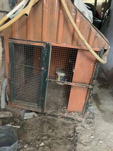 Quş yuvası/biçinçi üçün taxta qəfəs-ev - Material: taxta karkas