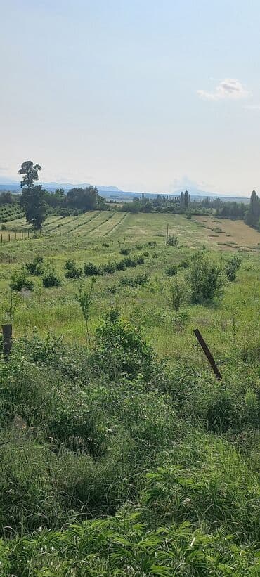 mağaza üçün yer icarəyə götürürəm: Ünvan: Qusar şəhəri Ləyər kəndi (ləzgi ləyər) 1hk 68 sot bağ yeri — 9